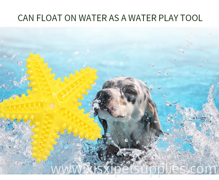 Factory Wholesale Rubber Floating Pet Teeth Cleaning Molar Toy Squeaky Interactive Dog Toothbrush Chew Toy